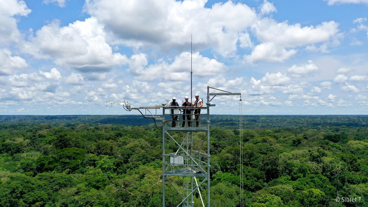 inauguration de la tour à flux Yangambi Image